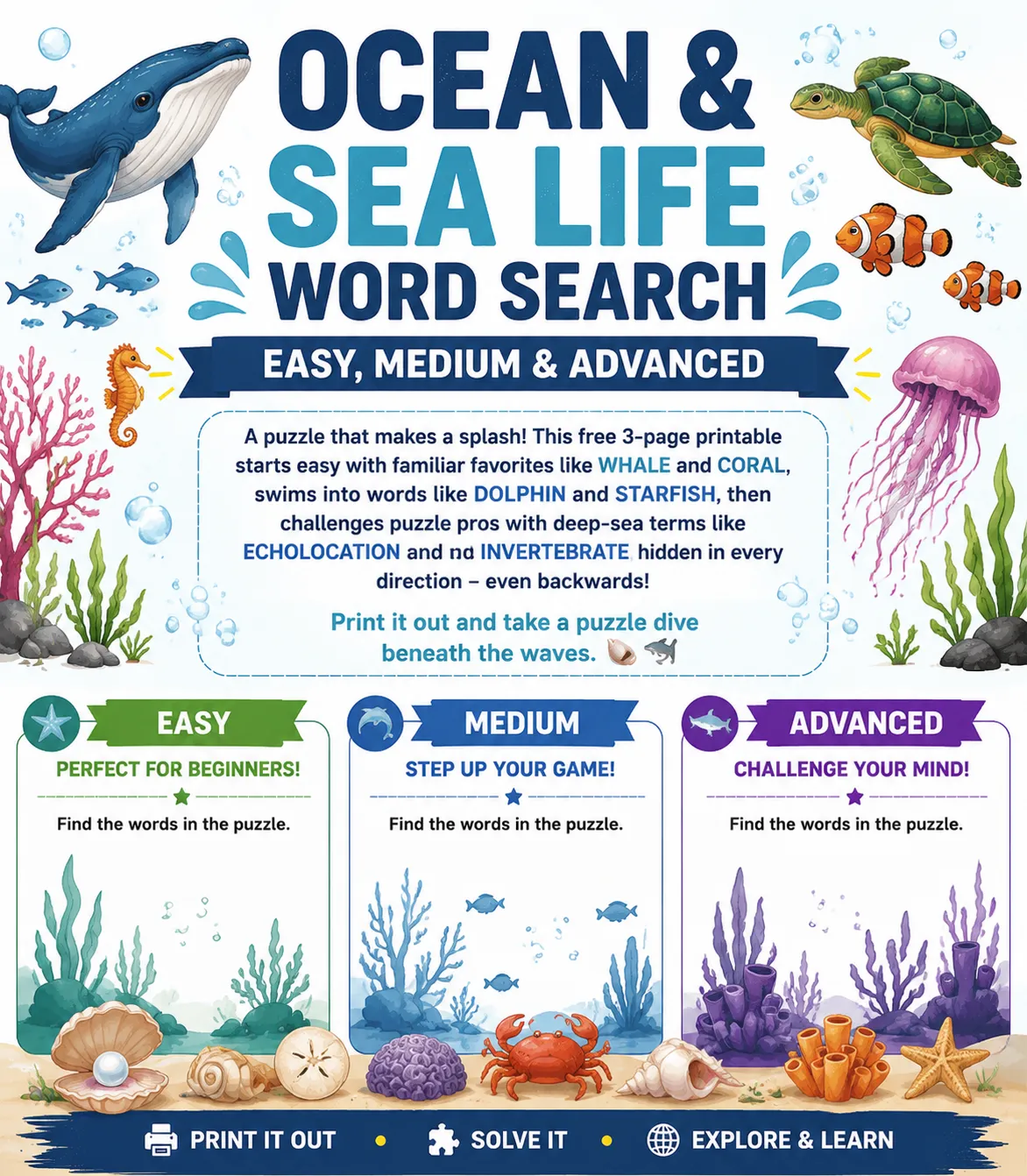Ocean & Sea Life